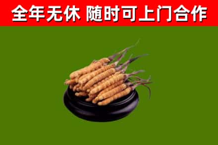 百色市烟酒回收冬虫夏草.jpg